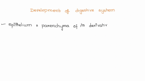 describe-the-development-of-the-digestive-system-07971