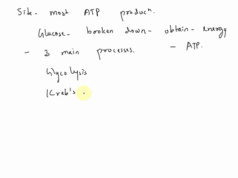 which-is-the-site-of-the-most-atp-production-during-cellular-respiration-o-nucleus-o-mitochondrion-o-cytoplasm-o-chloroplast-94215