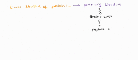 Question 12 the sequence of amino acids i5 the structure of...