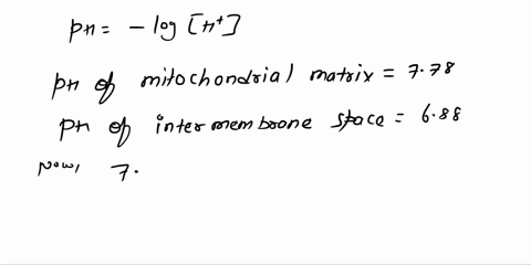 end-of-chapter-problem-14-during-mitochondrial-electron-transport-chapter-15-protons-are-transported-across-the-inner-mitochondrial-membrane-from-inside-the-mitochondrial-matrix-to-the-inter-63198