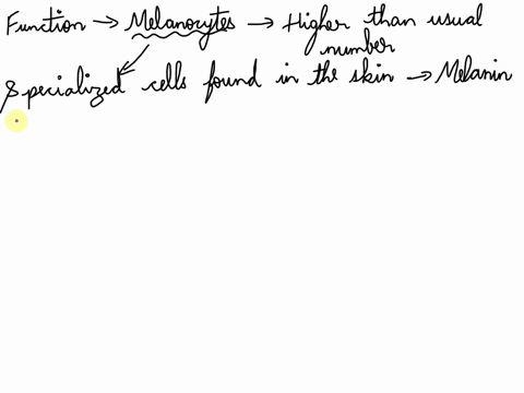 melanocytes-use-many-enzymes-proteins-to-produce-melanin-based-on-their-function-you-would-expect-melanocytes-in-the-skin-to-have-a-higher-than-usual-number-of-19879