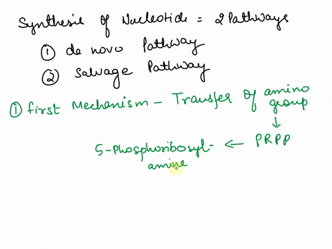 describe-three-major-feedback-mechanisms-that-help-to-regulate-the-overall-rate-of-de-novo-purine-nucleotide-synthesis-and-the-relative-rates-of-formation-of-the-two-end-products-adenylate-a-34564