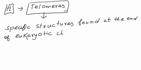 question-1-q008which-of-the-following-is-found-only-in-eukaryotic-genomesand-not-in-prokaryotic-genomes-atelomeres-obpackaging-proteins-occhromosomes-oddeoxyribose-sugar-question2-q003-the-t-41254