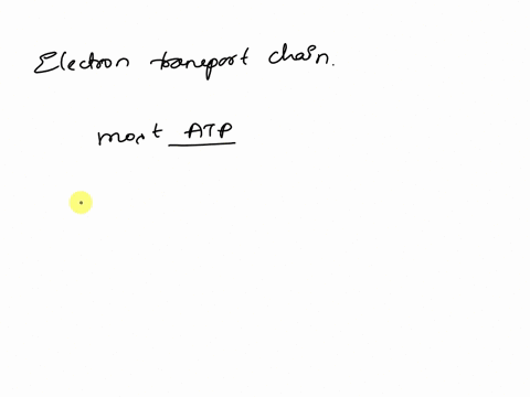 what-stage-of-cellular-respiration-produces-the-most-atp-51102