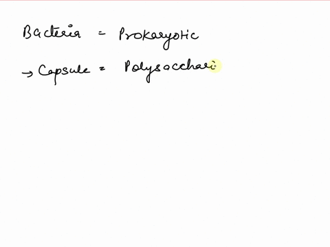 which-structure-acts-like-an-invisibility-cloak-and-protects-bacteria-from-being-phagocytized-a-slime-layer-b-cell-wall-c-capsule-d-cell-membrane-e-fimbriae-81702