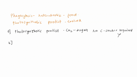 question-11-15-points-phagocytosis-provides-a-means-by-which-heterotrophic-protists-can-take-in-food-particles-which-statement-below-explains-how-photosynthetic-protists-may-have-evolved-pho-60322