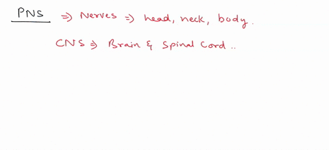 which-of-these-is-not-true-of-peripheral-nervous-system-pns-plexuses-ganglia-sensory-receptors-brain-e-nerves-26-your-brain-is-divided-into-how-many-chambers-one-two-three-four-five-6t-7-27-95994