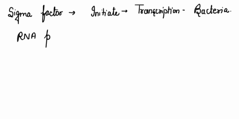 dna-ligase-adds-short-rna-primer-for-synthesis-of-the-lagging-strand-of-dna-reanneals-the-two-strands-of-dna-behind-the-replication-fork-joins-okazaki-fragments-on-the-lagging-strand-of-dna-43024