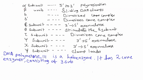 identify-the-function-of-each-subunit-of-dna-polymerase-drag-the-correct-labels-onto-the-table-labels-can-be-used-once-more-than-once-or-not-at-all-subunit-function-0-3-to-5-exonuclease-8-6-60805