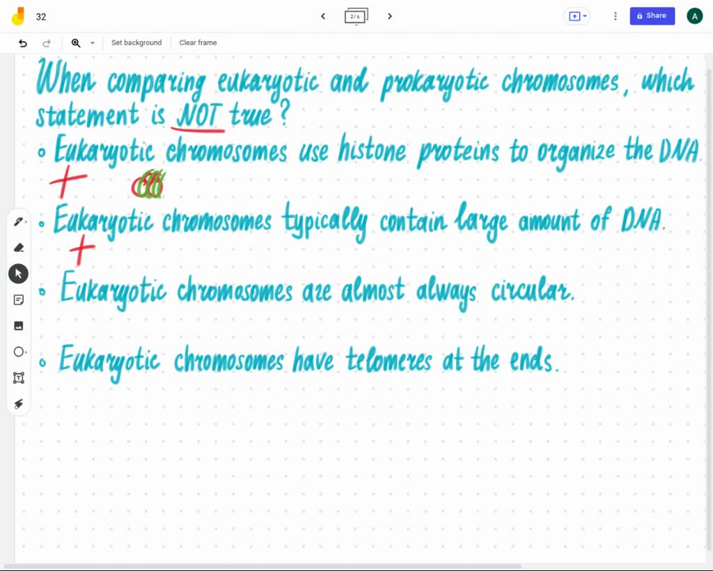 SOLVED When comparing eukaryotic and prokaryotic chromosomes, which