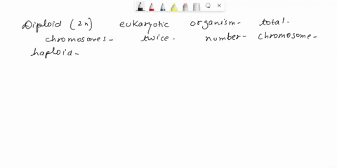 a-diploid-2neukaryotic-organism-has-a-total-of-40-chormosomes-assuming-it-was-created-through-sexual-reproduction-how-many-chromosomes-did-it-get-from-the-gametes-of-each-parent-60612