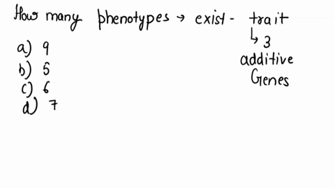 how-many-distinct-phenotypes-exist-for-a-trait-determined-by-three-additive-genes-a-nine-b-five-c-six-d-seven-15123