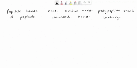 what-type-of-bond-forms-between-each-amino-acid-to-build-a-polypeptide-chain-05103