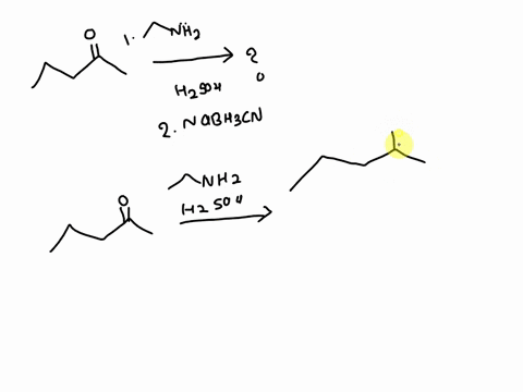 whatisare-the-predicted-products-of-the-reaction-shown-nh2h2so4-2nabh3cn-iv-c1-o-iii-o-iv-v-99684