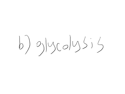 which-of-these-is-least-affected-by-an-excess-of-reactive-oxygen-species-ross-o-the-electron-transport-chain-o-glycolysis-o-mitochondria-o-catalase-o-superoxide-dismutase-40654