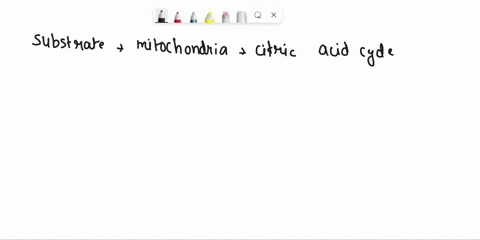 1-the-substrate-for-the-enzyme-pyruvate-carboxylase-must-be-transported-from-the-cytoplasm-into-the-mitochondria-for-the-citric-acid-cycle-to-proceed-this-is-an-example-of-which-type-of-meta-93003