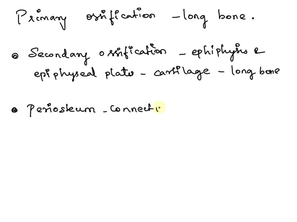 SOLVED: Where is the primary ossification center of a long bone located ...