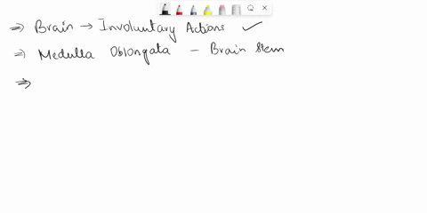what-part-of-the-brain-controls-involuntary-actions-56594
