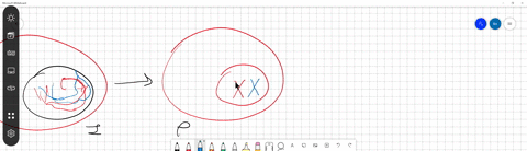 draw-it-draw-one-eukaryotic-chromosome-as-it-would-appear-during-interphase-during-each-of-the-stages-of-mitosis-and-during-cytokinesis-also-draw-and-label-the-nuclear-envelope-and-any-microtubules--2