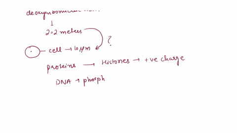 which-of-the-following-proteins-are-part-of-chromosomes-cohesion-b-spindle-poles-c-histones-d-tubulin-82573