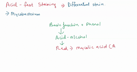 during-the-acid-fast-de-stained-by-the-staln-which-of-the-falconol-olilowing-mycobacteriueacbe-solutlon-bacterial-species-would-not-be-mycobacterium-_-uberculosis-escherichia-leprae-col-stap-88027