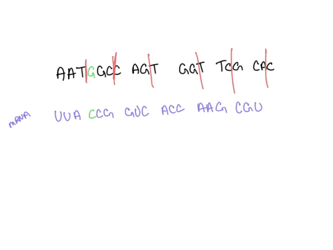 refer-to-the-genetic-code-and-the-20-common-amino-acid-charts-on-317-figure-of-your-textbook-the-following-the-base-sequence-on-one-strand-of-dna-molecule-aat-gcc-agt-ggt-tcg-cac-second-base-66825