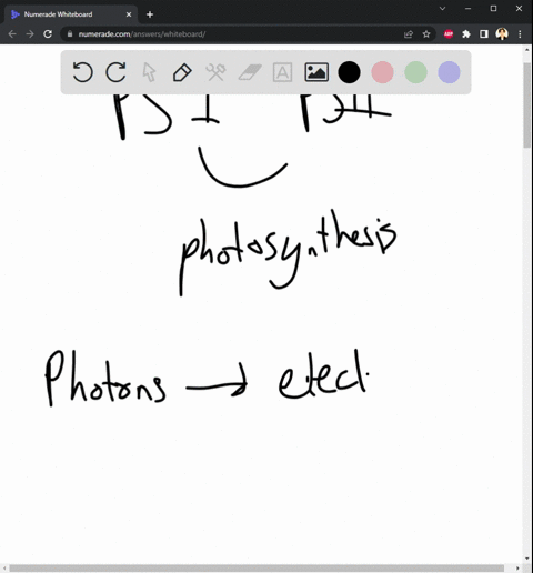 photosystem-i-and-ii-work-together-to-transfer-electrons-from-which-molecule-to-which-other-a-water-to-nadph-b-glucose-to-nadp-c-glucose-to-water-d-adp-to-atp-08165