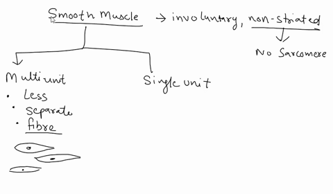 smpoth-muscle-distributed-throughout-the-body-and-is-more-variable-in-function-than-other-types-ol-muscle-there-are-two-types-of-involuntary-muscle-one-type-which-the-most-common-type-found-28348