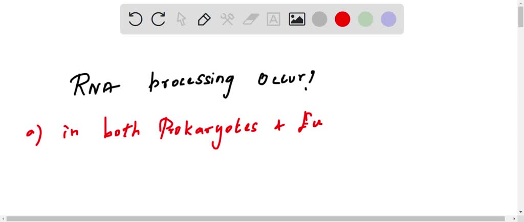 SOLVED:QUESTION 2 RNA processing occurs: in both prokaryotes and ...