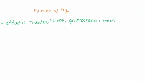 help-which-are-muscles-of-the-leg-gastrocnemius-and-quadriceps-abdominal-and-oblique-cardiac-and-smooth-gluteus-and-deltoid-27954