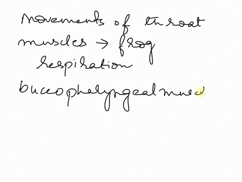 upward-and-downward-movements-of-throat-during-buccopharyngeal-respiration-of-frog-are-by-which-of-the-following-set-of-muscles-a-mylohyoid-and-geniohyoid-b-sternohyal-and-petrohyal-c-retrac-05109