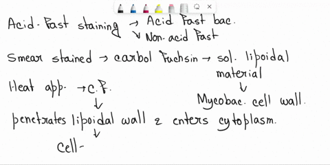 quxiinn-1m-vhich-of-the-following-accurately-describe-the-results-of-the-acid-fast-staln-control-staphylococcus-epldermidis-iney-youi-kid-tast-tacul-unoy-you-pink-cocci-tney-youh-non-acrast-98515