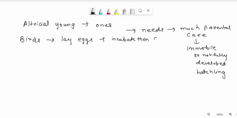 please-include-explanation-7-altricial-young-are-relatively-a-independent-at-birth-and-require-a-relatively-short-time-for-incubationgestation-b-helpless-at-birth-and-require-a-relatively-lo-69911
