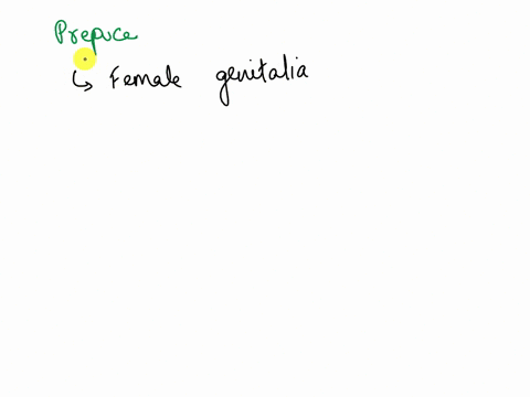 which-structure-is-highlighted-multiple-choice-prepuce-corpus-spongiosum-spermatic-cord-32562