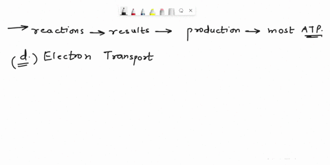 question-9-reactions-results-in-the-production-of-the-most-atp-which-one-of-the-following-glycolysis-kreb-cycle-alcoholic-fermentation-electron-transport-system-question-10-the-reactants-for-54559