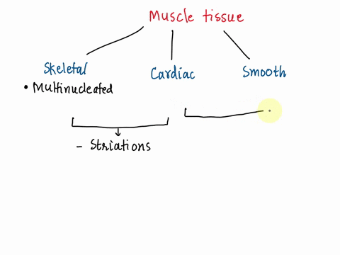 a-common-characteristic-of-the-three-types-of-muscle-tissue-isare-that-check-all-that-apply-they-all-have-striations-they-all-depend-on-actin-and-myosin-for-contraction-they-all-are-multinuc-49043