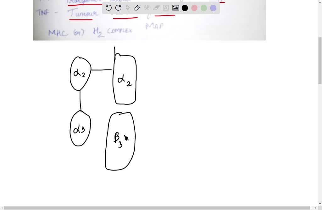 SOLVED Make a diagram of the Major Complex of the