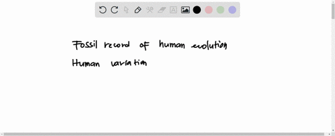 question-7-bioanthropology-focuses-on-which-of-the-following-topics-fossil-record-of-human-evolution-human-variation-mechanisms-of-evolution-non-human-primates-question-8-1pts-the-subfield-w-49775