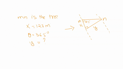 a-surveyor-measures-the-distance-across-a-straight-river-by-the-following-method-starting-directly-across-from-a-tree-on-the-opposite-bank-he-walks-x-127-m-along-the-riverbank-to-establish-a-62732