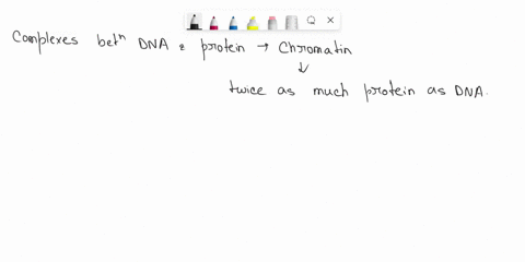 the-complex-of-proteins-and-dna-in-a-nondividing-cell-is-called-98566