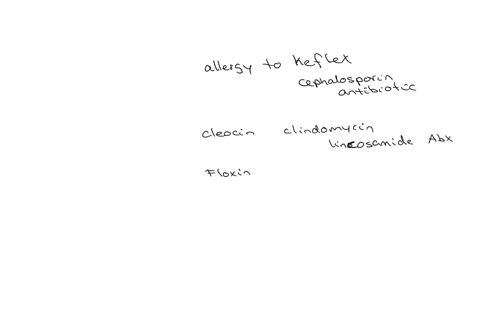 which-of-the-following-medications-may-cause-an-allergic-reaction-if-a-patient-has-an-allergy-to-keflex-choose-answera-cleocin-choose-answerb-amoxil-choose-answerc-floxin-choose-answerd-2