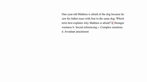 one-year-old-mathieu-is-afraid-of-the-dog-because-he-saw-his-father-react-with-fear-to-the-same-dog-which-term-best-explains-why-mathieu-is-afraid-a-stranger-wariness-b-social-referencing-c-complex-em