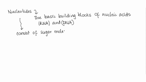 a-single-nucleotide-of-dna-is-composed-of-whichof-the-following-substances-a-adenine-guanine-and-cytosine-b-hydrogen-a-phosphate-group-and-adenine-c-ribose-sugar-deoxyribose-sugar-and-thymin-27066