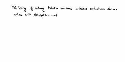 identify-the-types-of-tissue-found-in-the-lining-of-kidney-tubule-1-point-cuboidal-epithelium-ciliated-epithelium-squamous-epithelium-73805