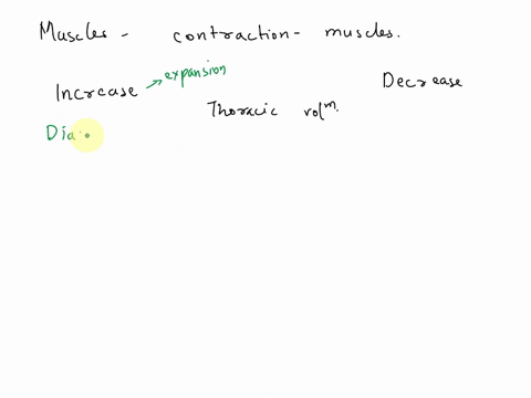 roles-of-various-respiratory-muscles-indicate-whether-contraction-of-each-of-the-following-muscles-will-increase-or-decrease-thoracic-volume-external-intercostals-internal-intercostals-diaph-91385