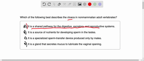 part-a-which-of-the-following-best-describes-the-cloaca-in-nonmammalian-adult-vertebrates-it-is-a-shared-pathway-for-the-digestive-excretory-and-reproductive-systems-it-is-a-source-of-nutrie-89096