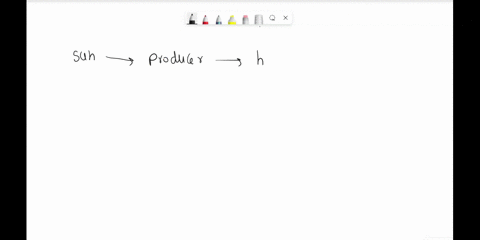 which-list-shows-a-possible-order-in-which-energy-moves-through-an-ecosystem-a-herbivore-carnivore-sun-producer-decomposer-b-sun-producer-herbivore-carnivore-decomposer-c-sun-producer-predat-03904