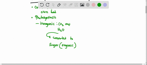 which-of-the-following-statements-is-a-correct-distinction-between-autotrophs-and-heterotrophs-a-a-3-49929