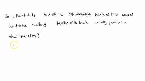 in-the-ferret-study-how-did-the-experimenters-determine-that-visual-input-to-the-auditory-portions-2-61482