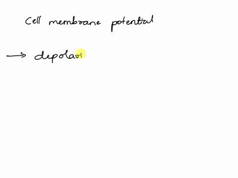 the-cell-in-the-figure-is-at-resting-potential-we-open-sodium-channels-in-the-cell-membrane-then-close-the-sodium-channels-after-sodium-has-stopped-flowing-we-then-open-potassium-channels-an-49497